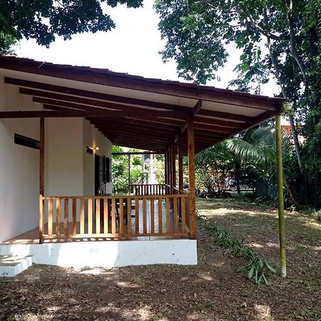 Green Papaya Villa Puerto Viejo de Talamanca Exterior foto