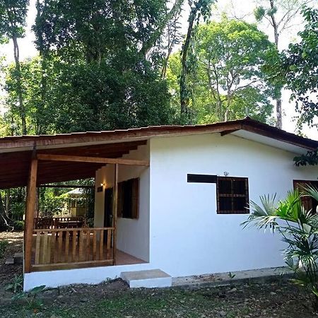 Green Papaya Villa Puerto Viejo de Talamanca Exterior foto
