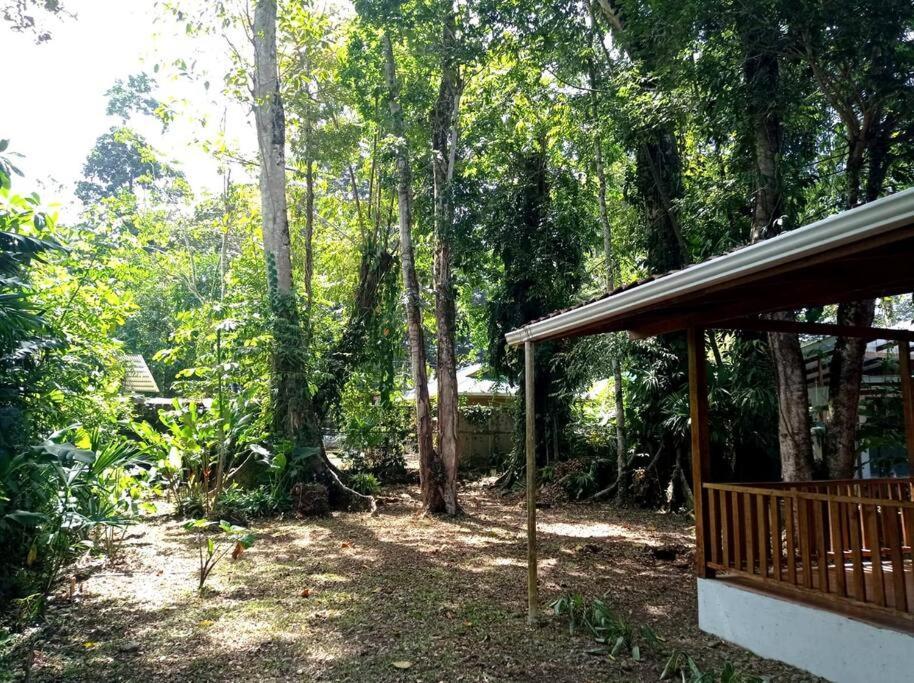 Green Papaya Villa Puerto Viejo de Talamanca Exterior foto