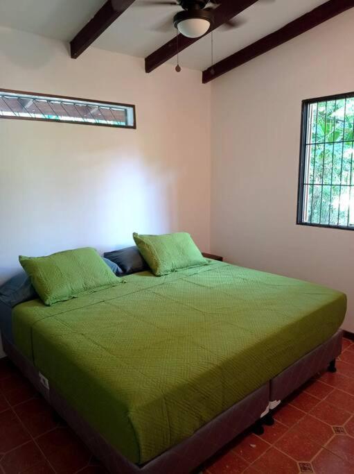 Green Papaya Villa Puerto Viejo de Talamanca Exterior foto